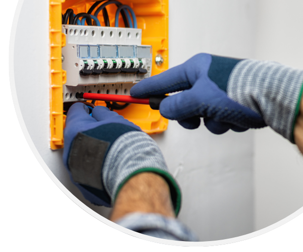 Electrician in New Plymouth