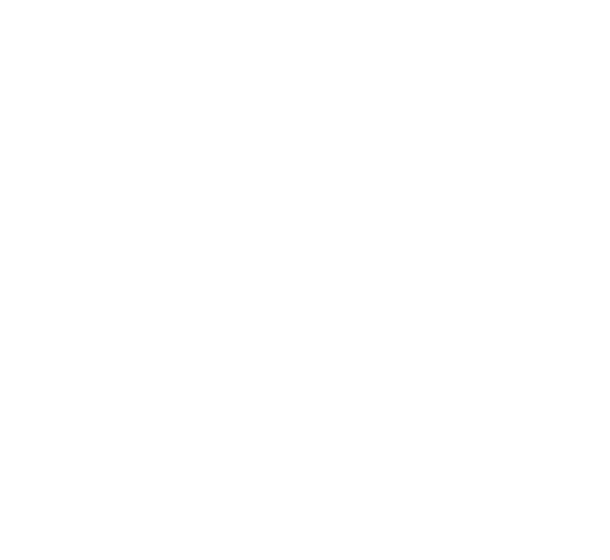electric-l logo